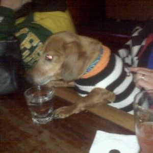 Meet your Posher, Mary